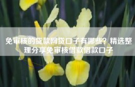 免审核的贷款网贷口子有哪些？精选整理分享免审核借款借款口子
