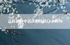 正在逾期中可以借钱的口子有吗?