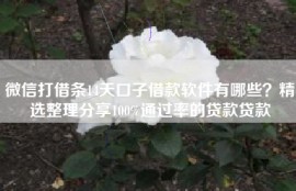 微信打借条14天口子借款软件有哪些？精选整理分享100%通过率的贷款贷款