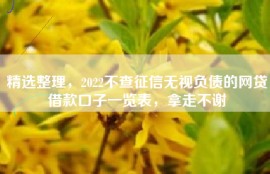 精选整理，2022不查征信无视负债的网贷借款口子一览表，拿走不谢