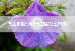 营业执照20万无息贷款怎么申请？