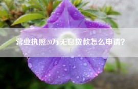 营业执照20万无息贷款怎么申请？