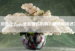 到底什么app是能赚钱的啊？请清晰描述？