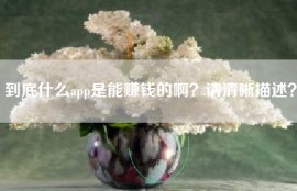 到底什么app是能赚钱的啊？请清晰描述？
