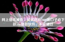 网上借钱被拒，试试这些2022黑口子必下款app借款软件，不容错过