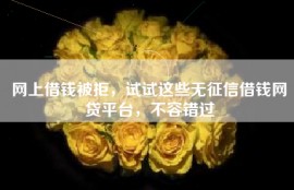 网上借钱被拒，试试这些无征信借钱网贷平台，不容错过
