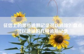 征信上的哪些逾期记录可以消除？盘点可以消除的几种逾期记录