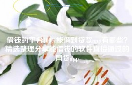 借钱的平台100%能借到贷款app有哪些？精选整理分享能借钱的软件直接通过的网贷app