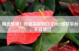 精选整理！双黑贷款的口子2022借款平台，不容错过