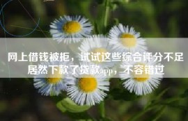 网上借钱被拒，试试这些综合评分不足居然下款了贷款app，不容错过