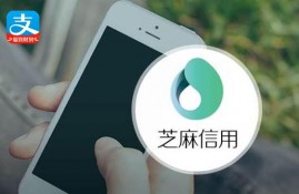 小米之家可以用花呗支付吗？