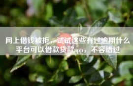 网上借钱被拒，试试这些有过逾期什么平台可以借款贷款app，不容错过