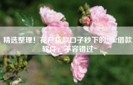 精选整理！花户贷款口子秒下的2022借款软件，不容错过