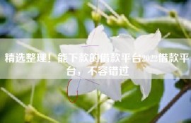 精选整理！能下款的借款平台2022借款平台，不容错过