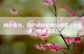 网贷盘点，白户必过的网贷网贷平台名单，值得关注！