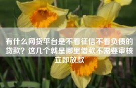 有什么网贷平台是不看征信不看负债的贷款？这几个就是哪里借款不需要审核立即放款