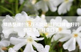 精选整理！千万不能错过的口碑最好的借贷平台网贷口子