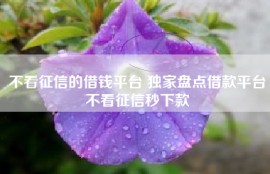 不看征信的借钱平台 独家盘点借款平台不看征信秒下款