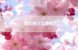 月供是什么意思？