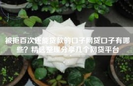 被拒百次还能贷款的口子网贷口子有哪些？精选整理分享几个网贷平台