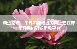 精选整理！千万不能错过的网上借钱哪里容易借到钱借款平台