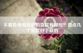 不看负债和征信的贷款有哪些？盘点几个贷款好下款的