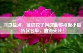 网贷盘点，征信花了网贷全部被拒小额贷款名单，值得关注！