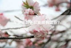 车贷提前还款流程有哪些？