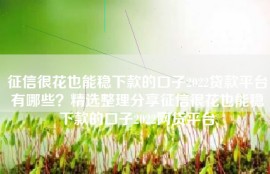 征信很花也能稳下款的口子2022贷款平台有哪些？精选整理分享征信很花也能稳下款的口子2022网贷平台