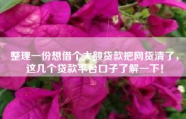 整理一份想借个大额贷款把网贷清了，这几个贷款平台口子了解一下！