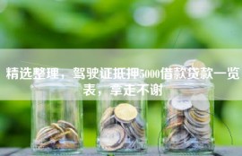 精选整理，驾驶证抵押5000借款贷款一览表，拿走不谢