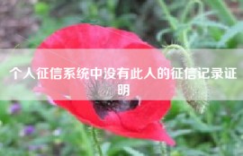 个人征信系统中没有此人的征信记录证明