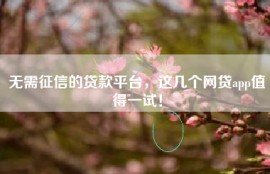 无需征信的贷款平台，这几个网贷app值得一试！