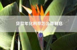 贷款年化利率怎么算利息
