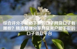 综合评分不足必下款的口子网贷口子有哪些？精选整理分享网贷黑户能下款的口子借款平台