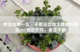 网贷名单一览，不看征信和大数据的网贷2022借款软件，拿走不谢