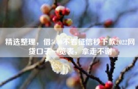 精选整理，借5000不看征信秒下款2022网贷口子一览表，拿走不谢