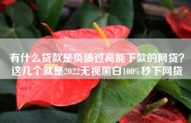 有什么贷款是负债过高能下款的网贷？这几个就是2022无视黑白100%秒下网贷