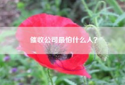 催收公司最怕什么人？