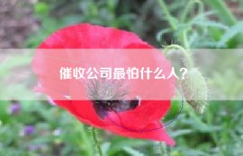 催收公司最怕什么人？