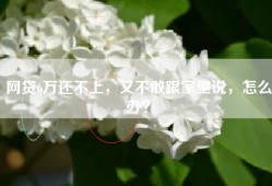 网贷6万还不上，又不敢跟家里说，怎么办？