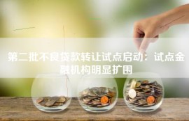 第二批不良贷款转让试点启动：试点金融机构明显扩围