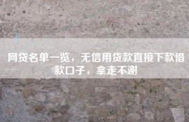 网贷名单一览，无信用贷款直接下款借款口子，拿走不谢