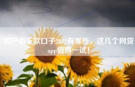 黑户必下款口子2022有哪些，这几个网贷app值得一试！
