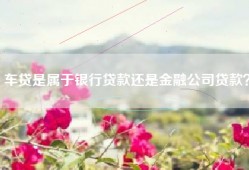 车贷是属于银行贷款还是金融公司贷款？