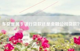 车贷是属于银行贷款还是金融公司贷款？