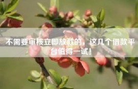 不需要审核立即放款的，这几个借款平台值得一试！