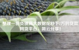 整理一份负债高大数据花秒下2万的贷款网贷平台，简云分享！