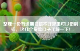 整理一份有逾期征信不好哪里可以借到钱，这几个贷款口子了解一下！