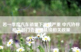 若一季度汽车销量下滑较严重 中汽协称相关部门会考虑延续相关政策